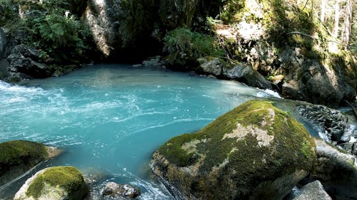 Beautiful Forest Waterfall 