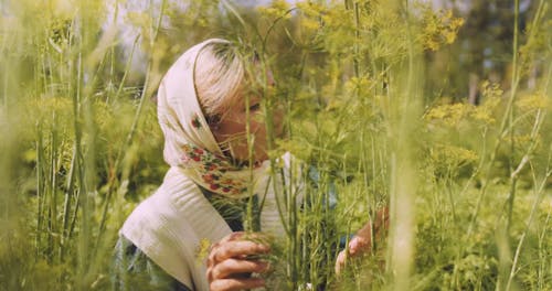 Woman Gardening on the Outdoors