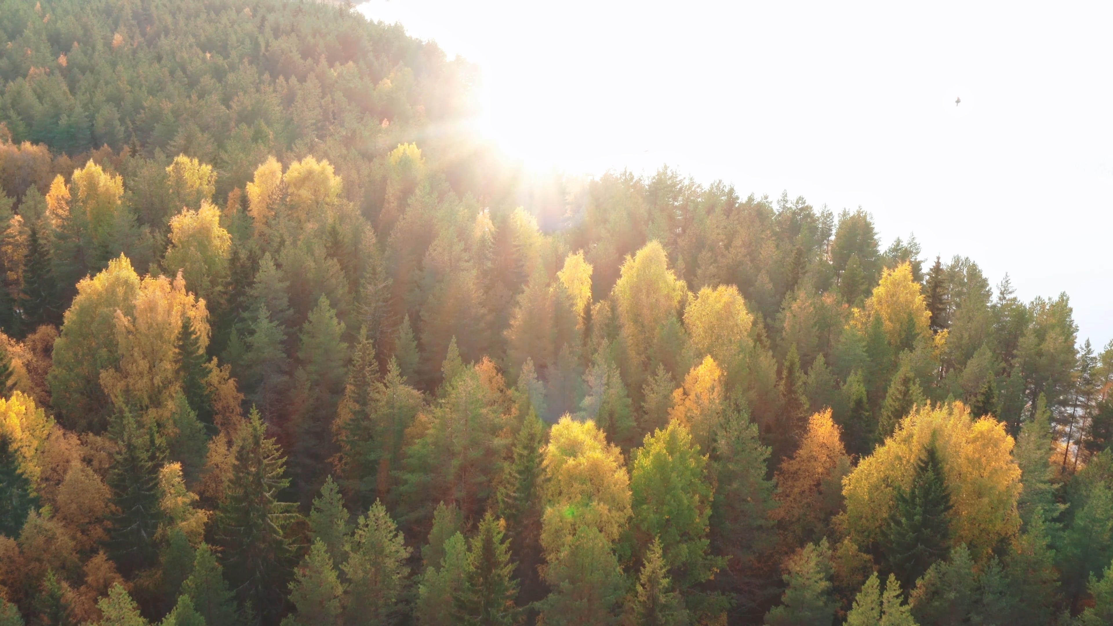 Seasonal Shift Videos, Download The BEST Free 4k Stock Video Footage ...