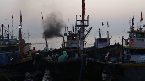 Fishing Boats at the Dockyard