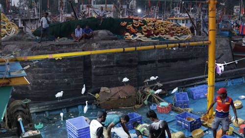 People Shopping at Wet Market