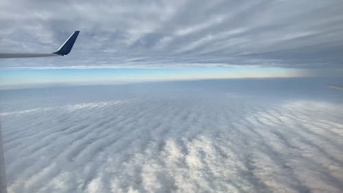 Aerial Shot of Sea of Clouds