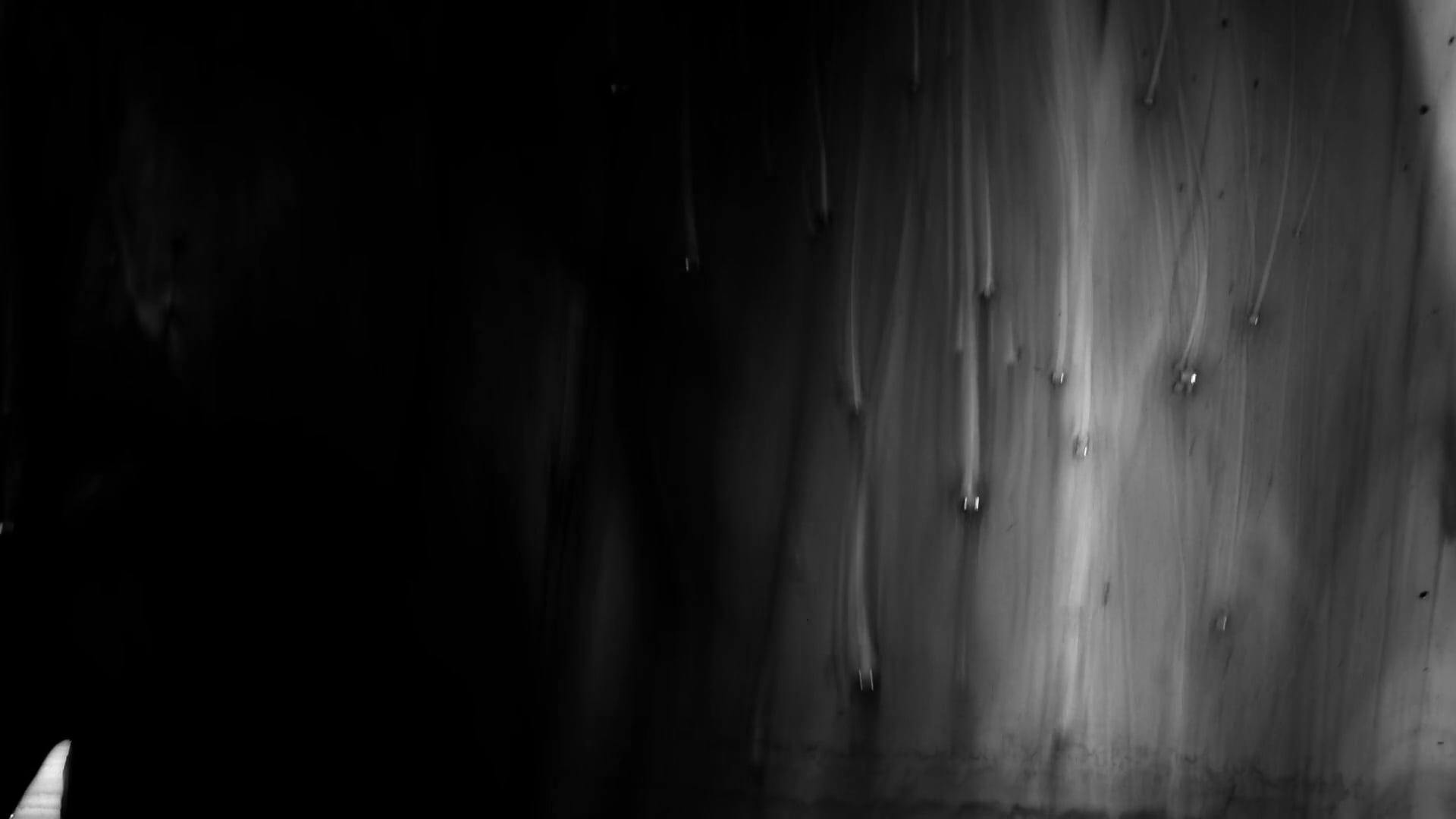 Video by Dan Cristian Pădureț