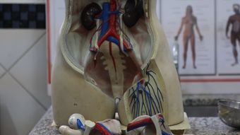 人体视频素材视频素材高清视频免费下载视频素材