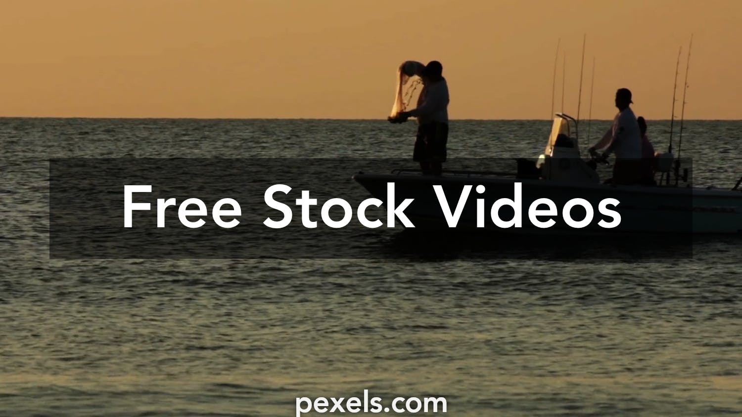 1,688 Cast Net Fishing Stock Video Footage - 4K and HD Video Clips
