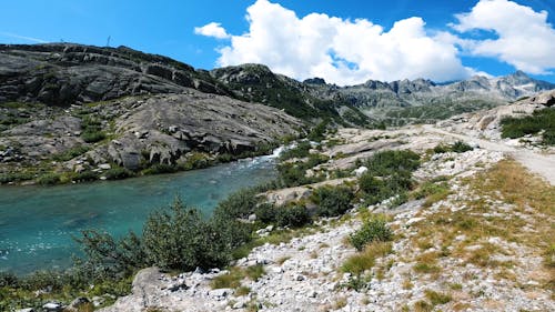 A Beautiful Scenery of Clean River During Daytime