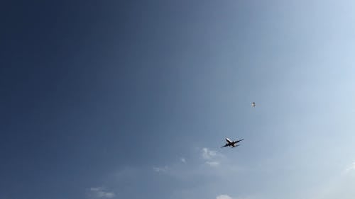 Video of an Airplane Flying