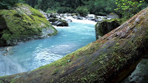 Natural Blue River Side