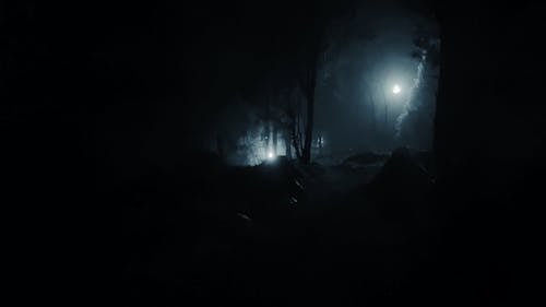 A Person Walking in Dark Forest