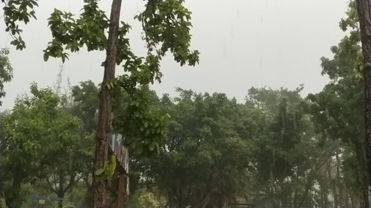 Video by Nishant Vyas