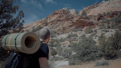 Man Looking on a Canyon