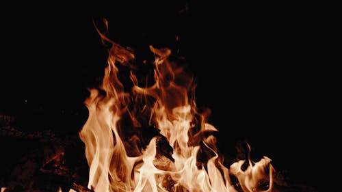 Close-Up View of Burning Wood