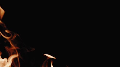 A Bonfire Burning Against Black Background