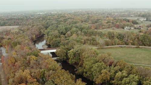 Aerial Footage of Trees Beside a River