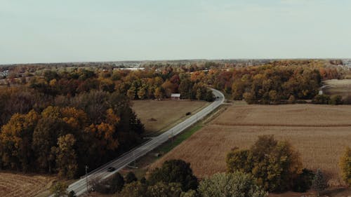 Aerial Footage of Trees beside a Road