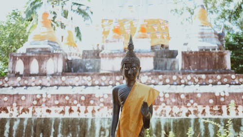 Buddha Statue Tilt Down Shot