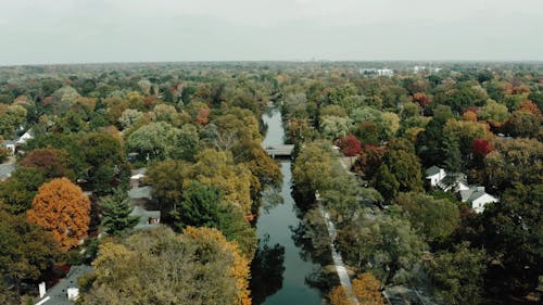 Aerial Footage of a River