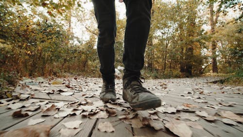 Low Angle View of a Person Walking on a Pathway