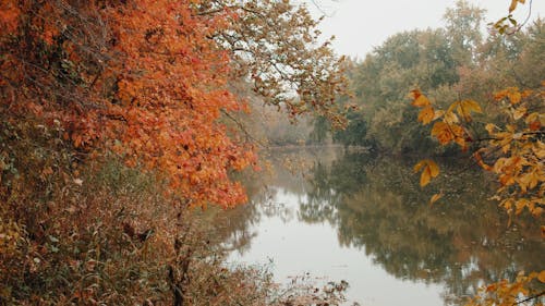 A Scenery of Peaceful and Quiet River