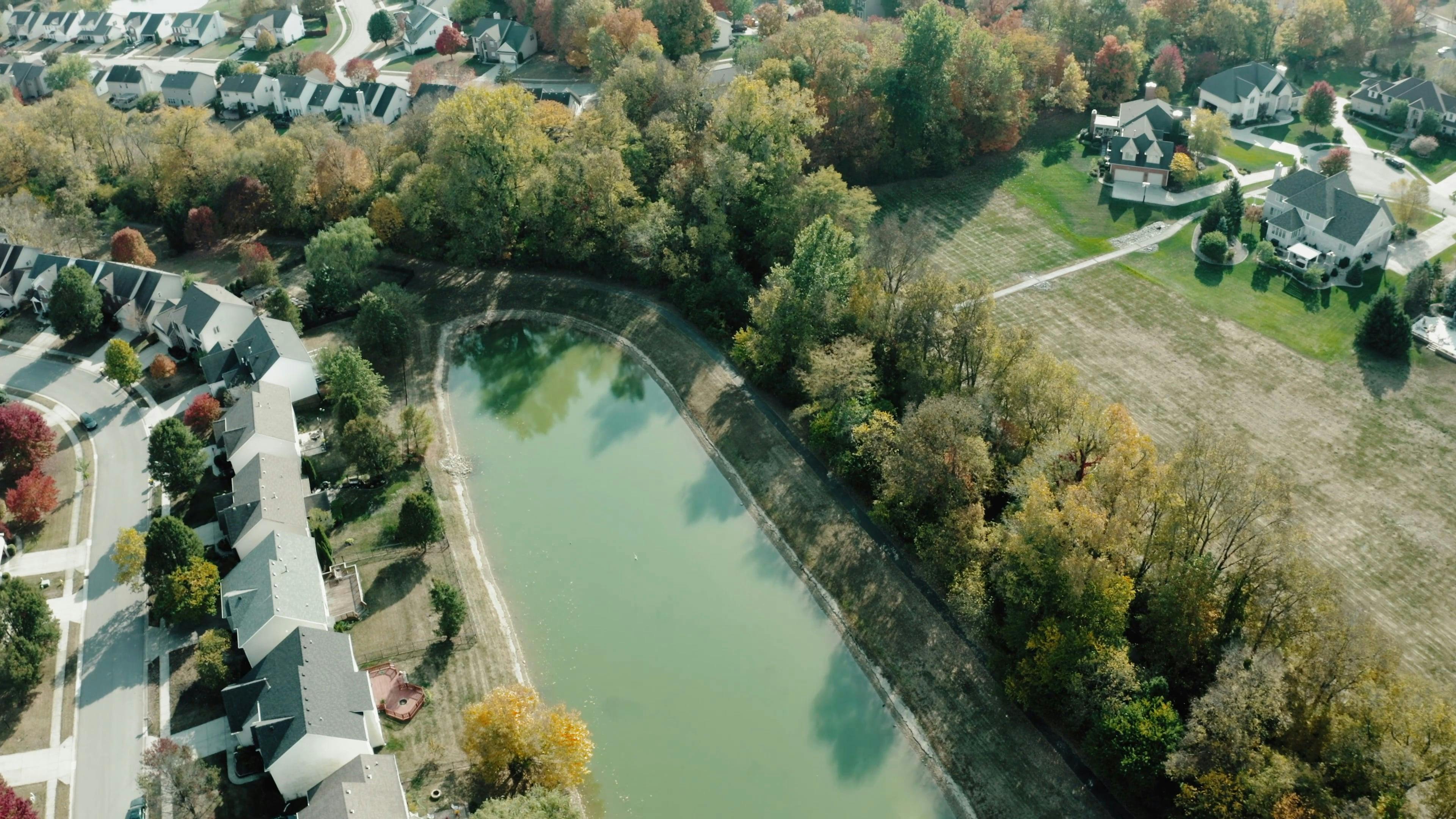 Drone Footage of Houses and Trees Free Stock Video Footage, Royalty