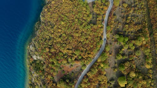 Drone Footage of a Car Traveling on Curvy Road Between Trees