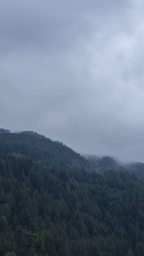 Time-Lapse Video of Foggy Mountain Forest