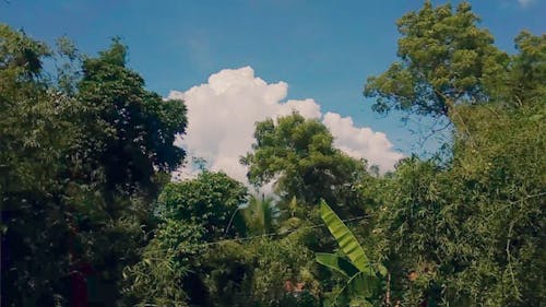 White Puffy Clouds Beneath The Blue Sky