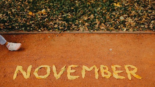 Woman Walking by November Writing with Dried Leaves