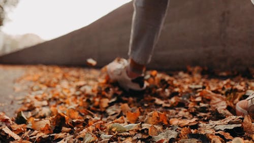 A Person Walking on Pavement Full of Dry Leaves