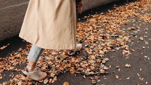 A Person Walking on Pavement Full of Dry Leaves