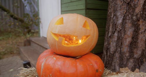 Close Up Video of a Carved Pumpkin