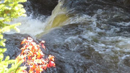 Side View of a Rapid in the Fast Flowing River