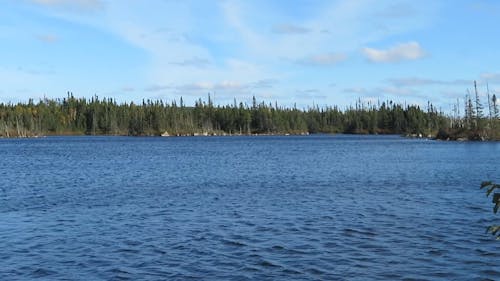 Water Flowing In a Lake