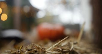 充气南瓜视频素材高清视频免费下载视频素材
