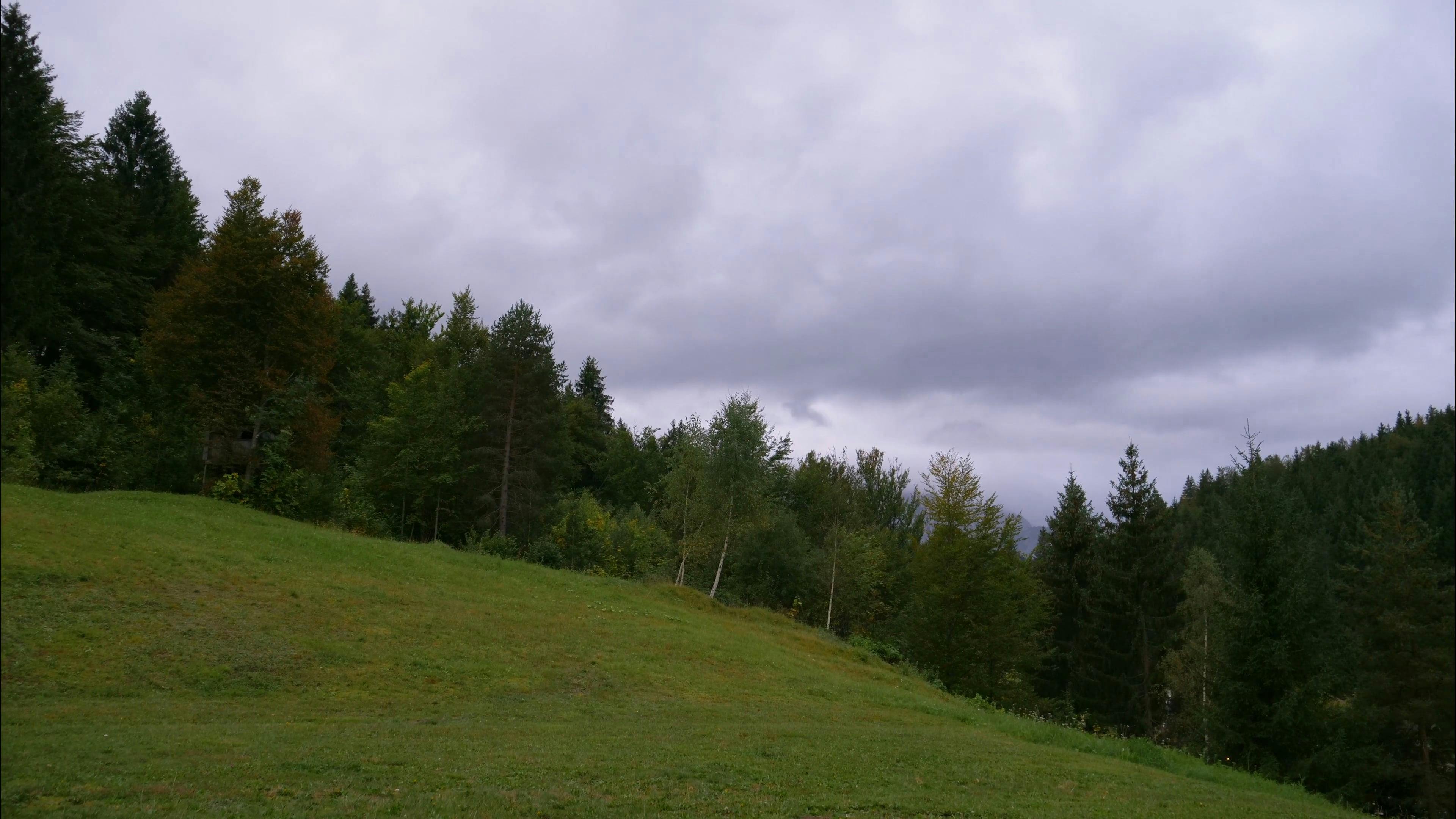 Video by Zlatin Georgiev