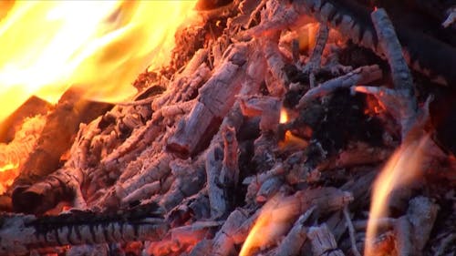 Close Up Video of Burning Wood