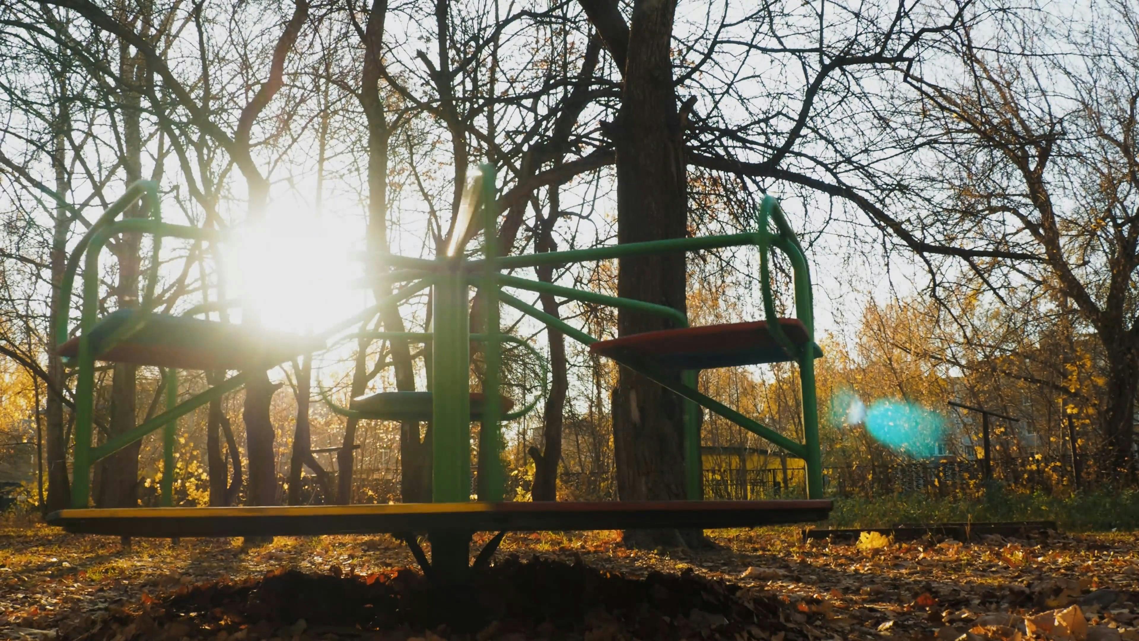 Forest Lifecycle Videos, Download The BEST Free 4k Stock Video Footage ...