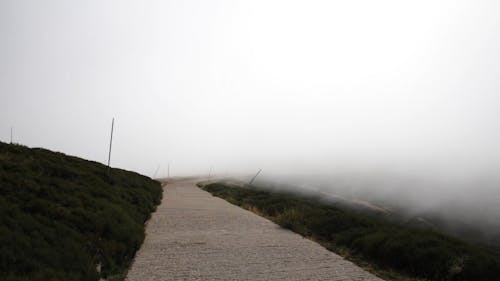 A Foggy Pathway