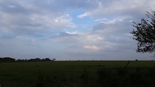 Time-Lapse Video of a Field