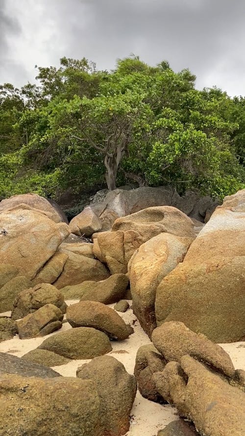 A Natural Rock Formations Across the Trees