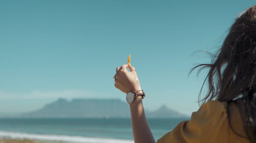 Woman Feeding the Seagulls