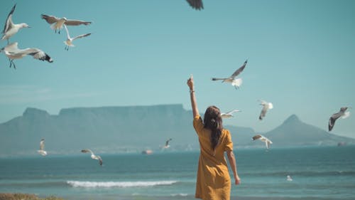 A Woman Feeding Flying Seagulls