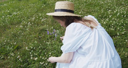 Young Woman Picking Wild Flowers in Meadow