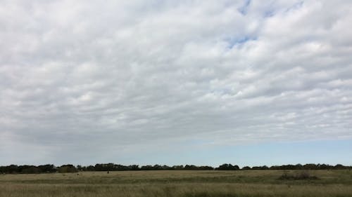 Time-Lapse Video of Agricultural Land Under White Cloudy Sky