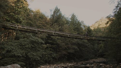 A Man Crossing a Hanging Bridge in a Forest