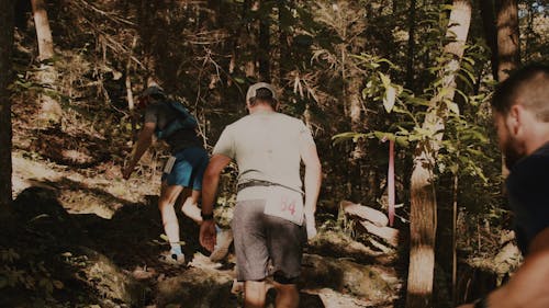 Group of Men Hiking and Going Up to the Forest