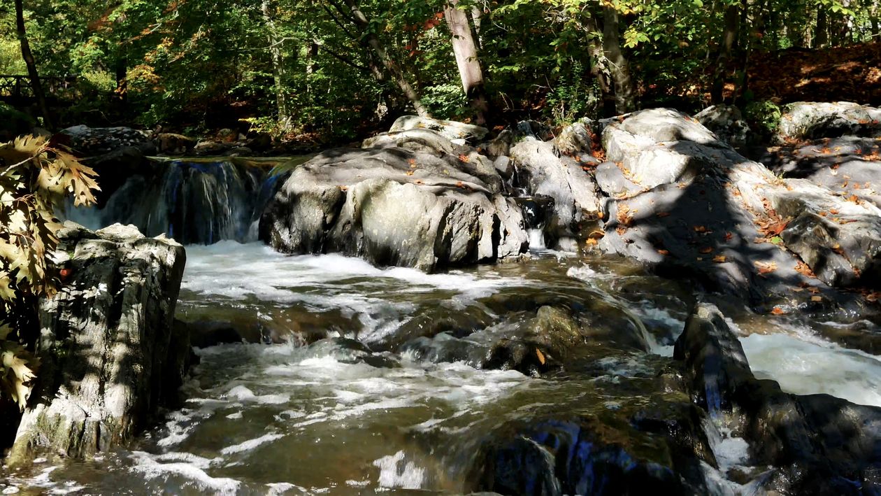A Flowing Stream in the Forest Free Stock Video Footage, Royalty-Free ...