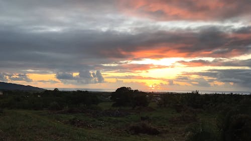 Time-Lapse Video of Landscape Scenery of an Agricultural Land During Sunrise