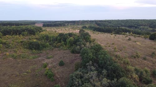 Drone Footage of Landscape Scenery of an Agricultural Land