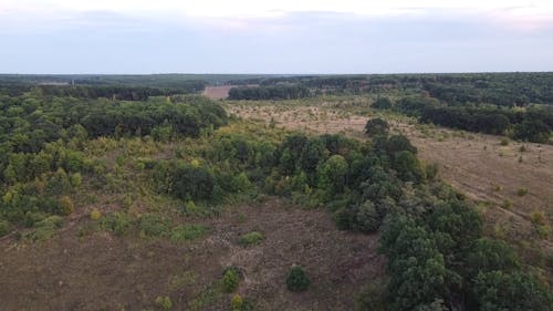 Drone Footage of a Vast Agricultural Land